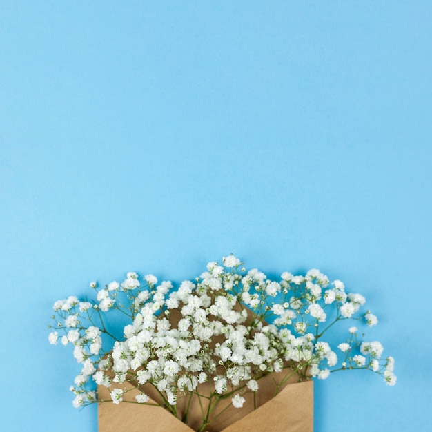 Vue Grand Angle De Fleurs Blanches De Souffle De Bebe Avec Enveloppe Brune Sur Fond Bleu Photo Gratuite