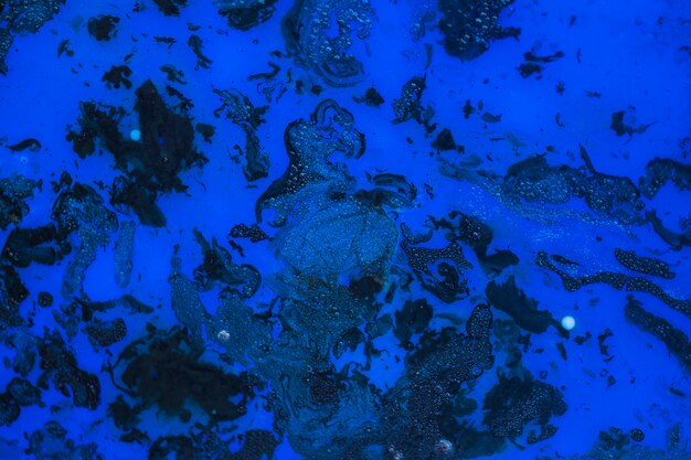 Vue macro du fond texturé aquarelle bleu Photo gratuit