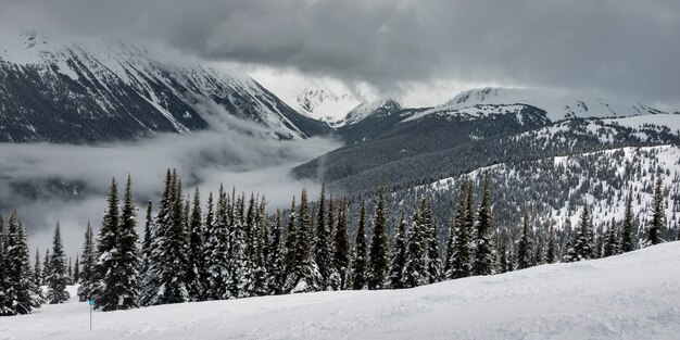 Vue Panoramique Sur La Chaîne De Montagnes Whistler