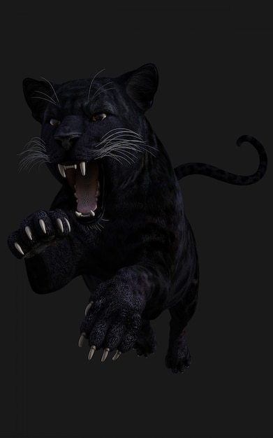 Isolato della pantera nera dell'illustrazione 3d sul nero | Foto Premium