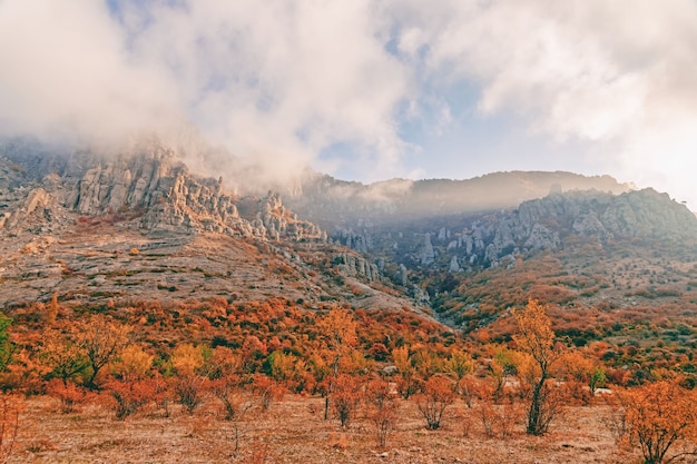 Bellissimo Paesaggio Autunnale Di Montagna Scenico Con Alberi Autunnali E Foglie Gialle Sulle Montagne Rocciose Di Sfondo Foto Premium