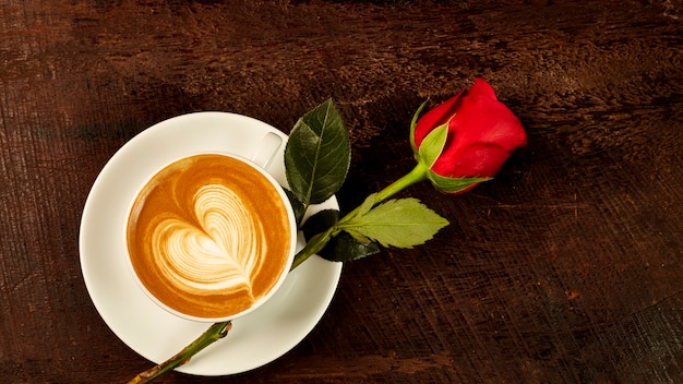 cappuccino rose cappuccino rose