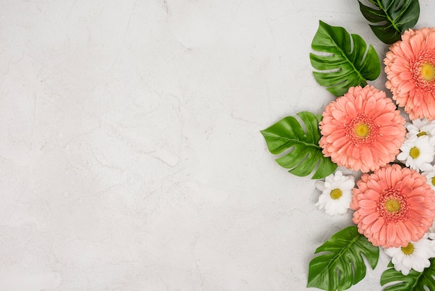 Gerbera e fiori margherita con foglie di monstera | Foto ...