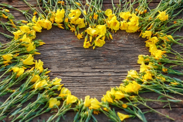 Il Cuore Dei Fiori Gialli Su Fondo Su Amore E Sul Concetto Romanzeschi Di Legno Copia Lo Spazio Foto Premium