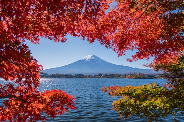 Paesaggio Della Montagna Di Fuji Con Le Belle Foglie Di Autunno Foto Premium