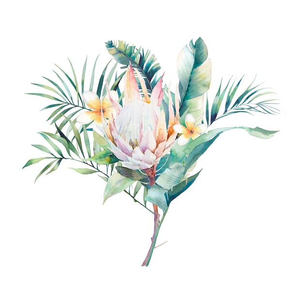 Mazzo Di Piante Esotiche Dell Acquerello Disegno Floreale Disegnato A Mano Con Fiori Tropicali Foglie E Rami Isolati Su Sfondo Bianco Palma Protea Foglie Di Banano Fiore Di Frangipane Foto Premium