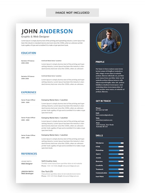 Curriculum Vitae Professionale