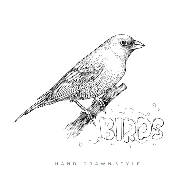 Gli Uccelli Si Appollaiano Su Un Albero In Uno Stile Disegnato A Mano Illustrazione Di Animali Sembra Realistico Astratto In Bianco E Nero Vettore Premium