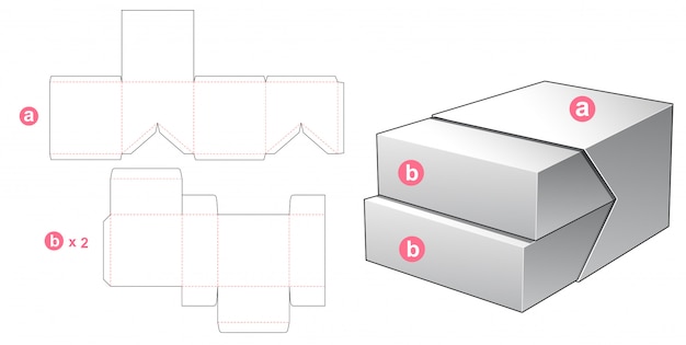 Disegno Del Modello Fustellato Scatola Vettore Premium