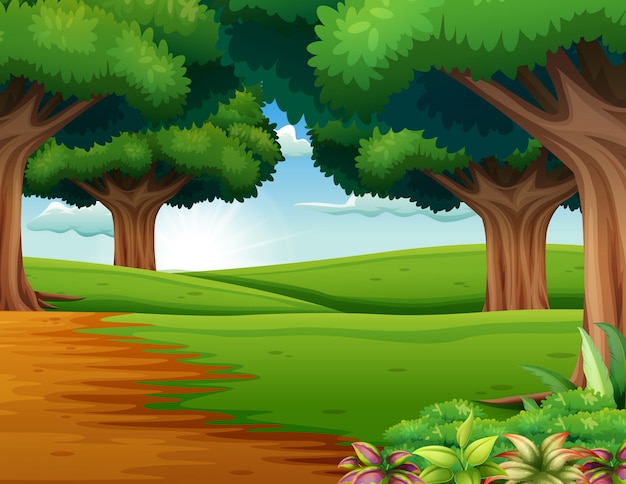 Cartone animato della scena della foresta con molti alberi | Vettore
