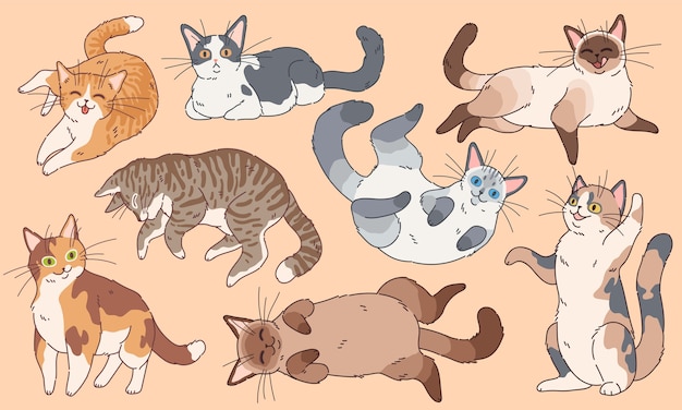 Gatti Carini Gattini Divertenti Diverse Razze Animali Domestici Che Dormono E Giocano Insieme Di Caratteri Del Logo Di Disegno Del Viso Di Gattino Felice Del Fumetto Vettore Premium