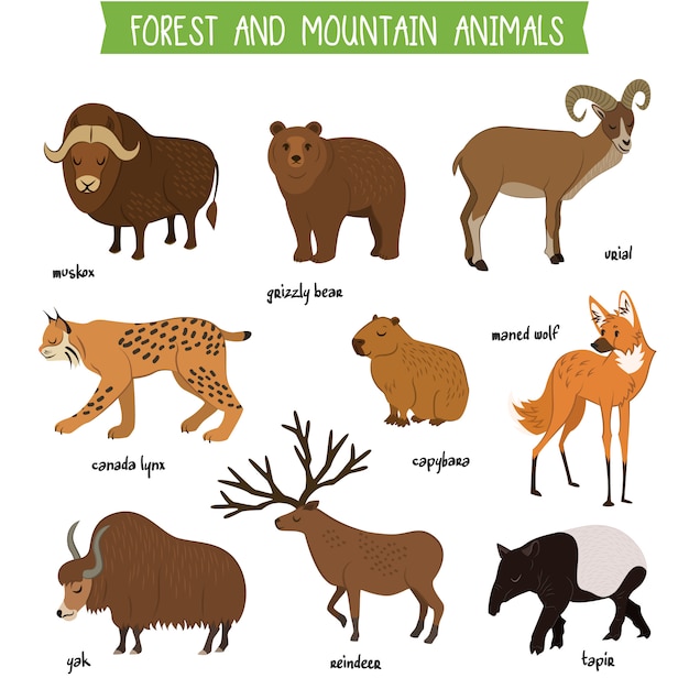 Animali Della Montagna Disegni Da Colorare Leafonsand vrogue.co