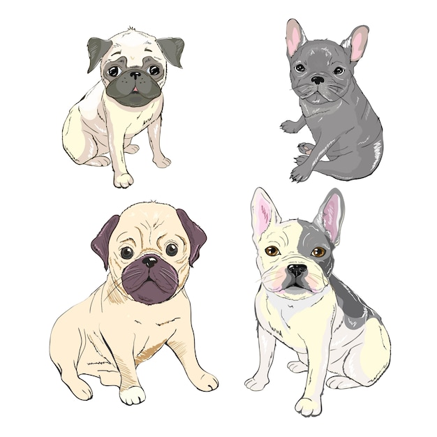 Cuccioli Divertenti Di Bulldog Francese Vector Il Bulldog Francese Divertente Il Cucciolo Sveglio Illustrazione Di Schizzo Del Disegno Dell Animale Domestico Vettore Premium