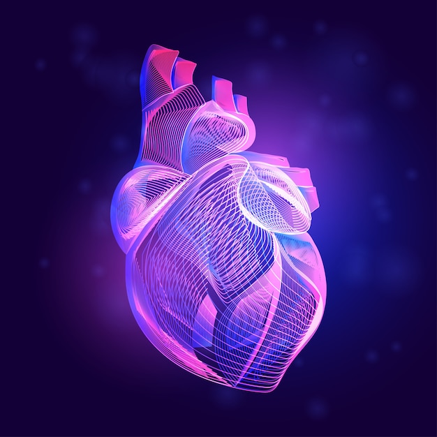 Struttura Medica Del Cuore Umano Profilo Dell Anatomia Dell Organo Della Parte Del Corpo In Stile Arte Linea 3d Su Priorita Bassa Astratta Al Neon Vettore Premium