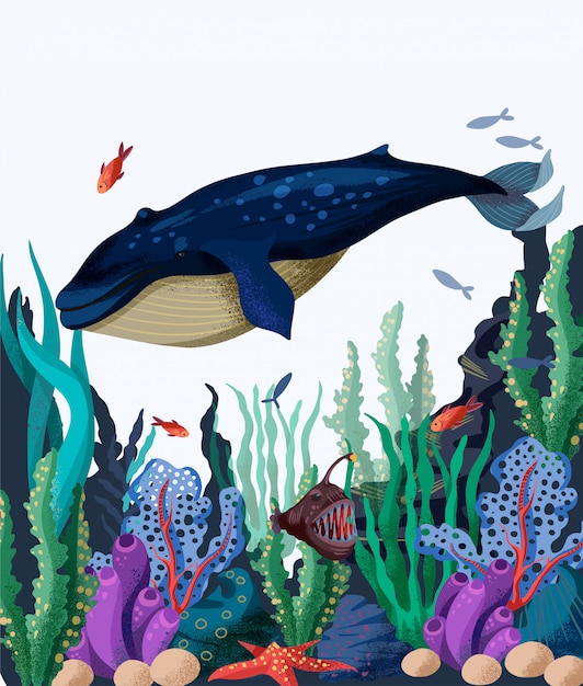 Illustrazione Dei Fondali Marini Con Balene Pesci E Piante Marine Vettore Premium