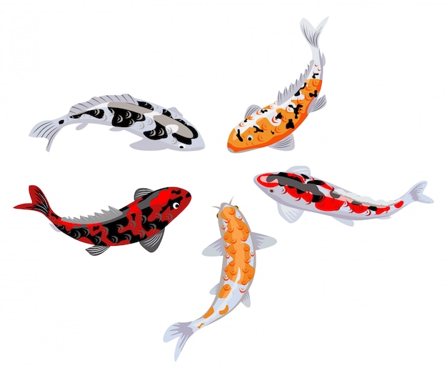 Carpe Koi Illustrazione Di Pesce Giapponese Koi Pesce Rosso Cinese Koi Simbolo Di Ricchezza Illustrazione Dell Acquario Seamless Pattern Di Pesce Carpa Giapponese E Colorato Koi Orientale In Asia Vettore Premium