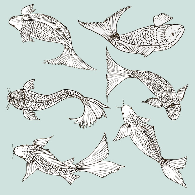 Set Di Pesci Disegnati A Mano Set Di Disegni Di Cibo Sano Vettore Premium