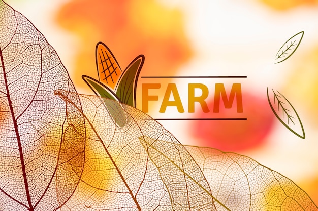 Farm-logo met doorschijnende bladeren Gratis Psd