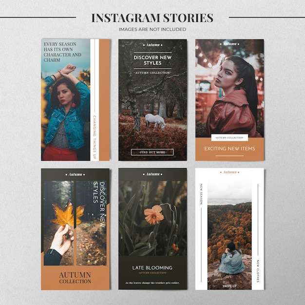 Download Plantilla de historia de instagram de moda | Archivo PSD ...