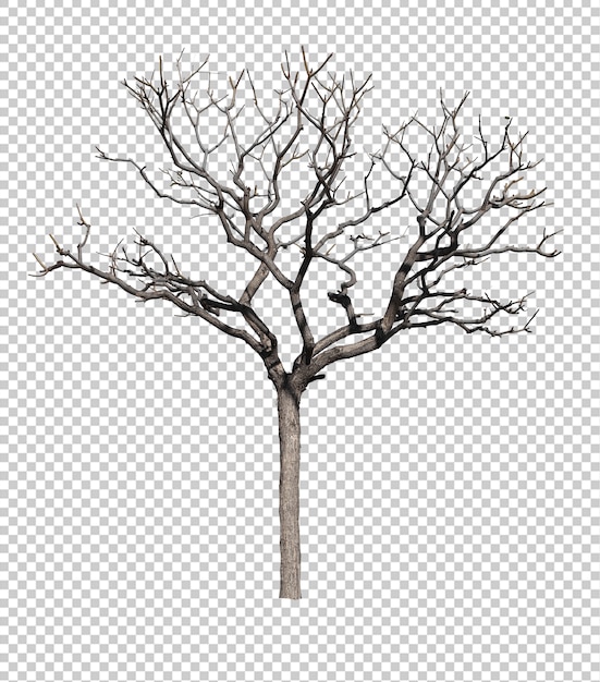 Arbre Sombre Sans Leafs Isole Sur Fond Blanc Psd Premium