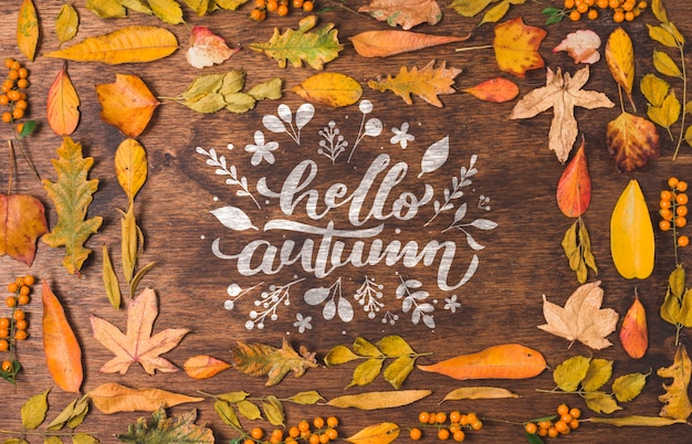 Bonjour Citation Automne Entouree De Feuilles Sechees Psd Gratuite