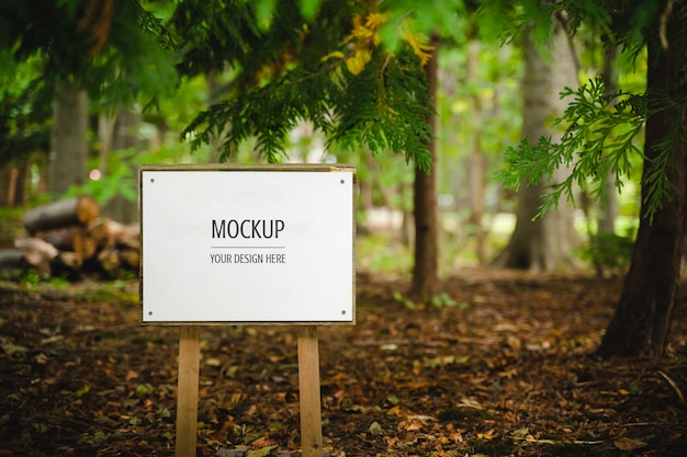 Maquette de planche de bois blanc vierge dans la forêt PSD Premium