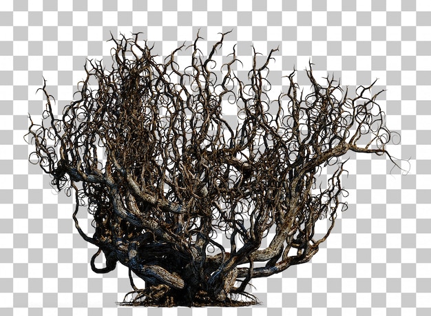 Rendu 3d  De L arbre  De La Mort Effrayant  PSD Premium