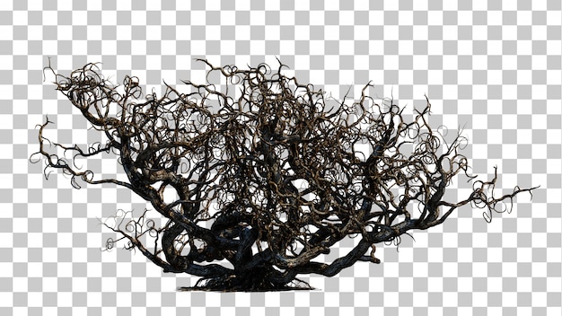 Rendu 3d  De L arbre  De La Mort Effrayant  PSD Premium