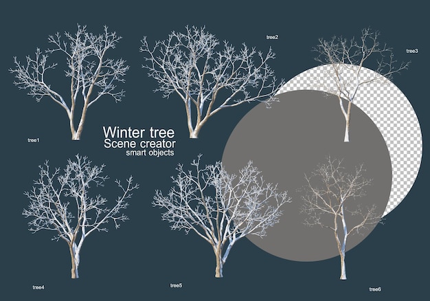 Muitos tipos de árvores no inverno PSD Premium