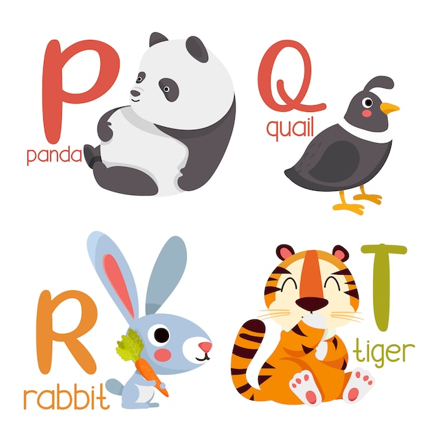 Alphabet animal graphique p à t. alphabet mignon de zoo avec des animaux dans un style bande dessinée. Vecteur Premium