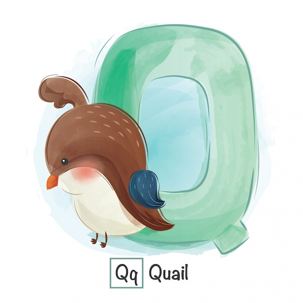 animaux avec la lettre q