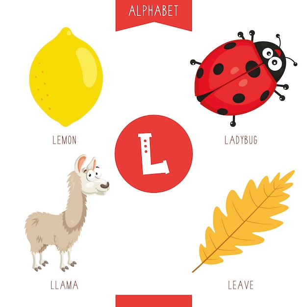 Alphabet lettre l et images Vecteur Premium
