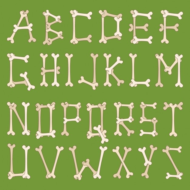 Alphabet En Os | Vecteur Gratuite