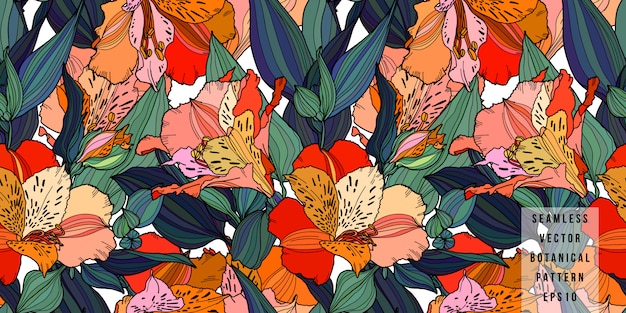 Alstroemeria dessinés à la main multi couleur fleurs avec feuilles modèle sans couture. Vecteur Premium