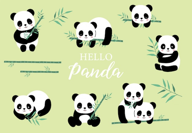 Animal Pastel Serti De Panda Illustration En Bambou Pour Autocollant Carte Postale Invitation D Anniversaire Element Modifiable Vecteur Premium