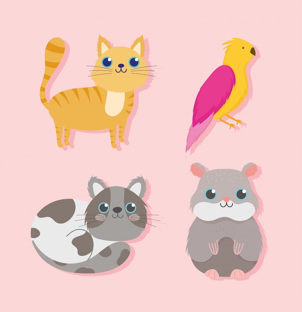 Animalerie Chat Mignon Oiseau Et Hamster Animal Domestique Illustration Vectorielle De Dessin Anime Vecteur Premium