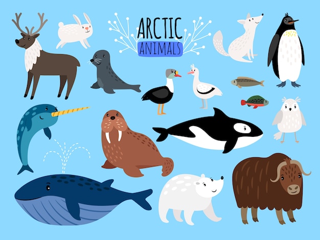 Animaux arctiques Vecteur Premium