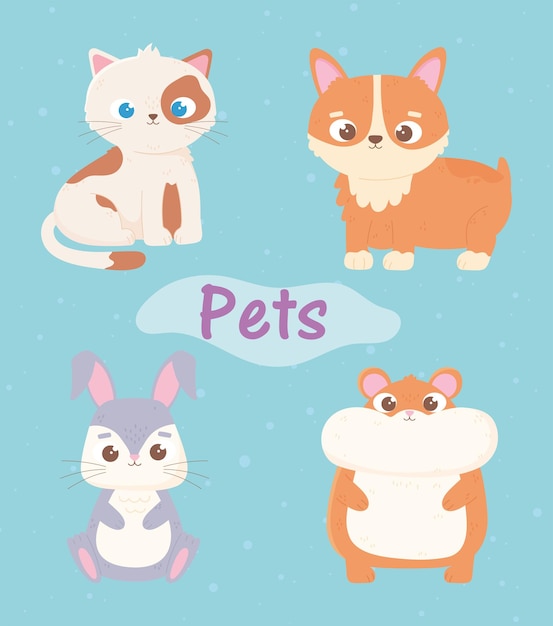 Animaux De Dessin Anime Mignon Chat Chien Hamster Et Lapin Vecteur Premium