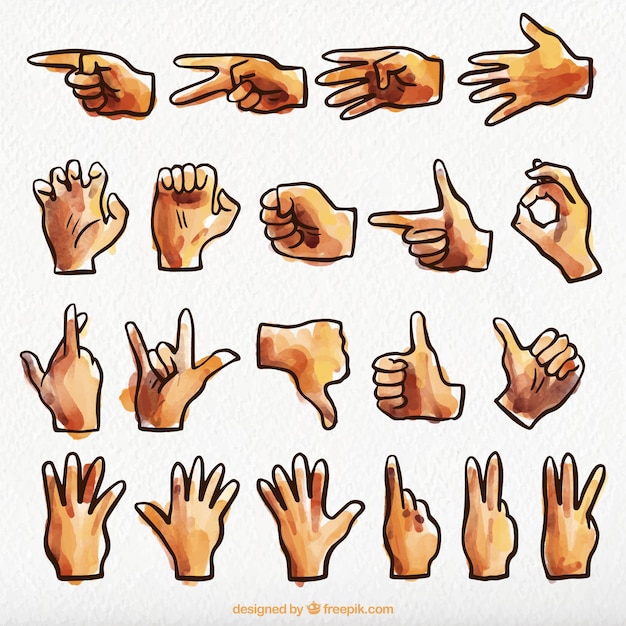 bravo langue des signes belge francophone