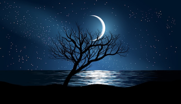 Arbre Solitaire A La Plage Avec Ciel Etoile Et Lune Vecteur Premium