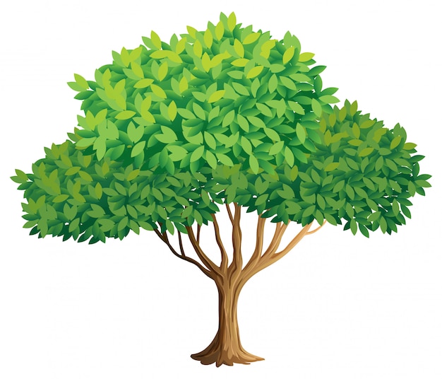 Arbre Vecteur gratuit