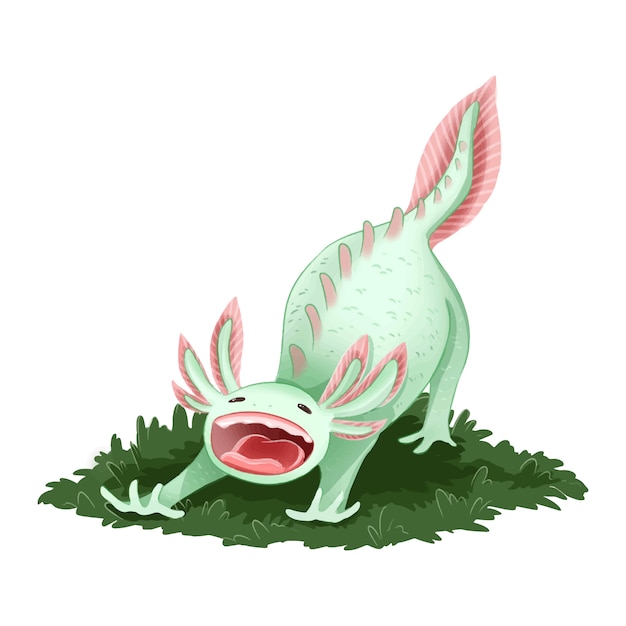 Axolotl mignon image isolée Vecteur Premium