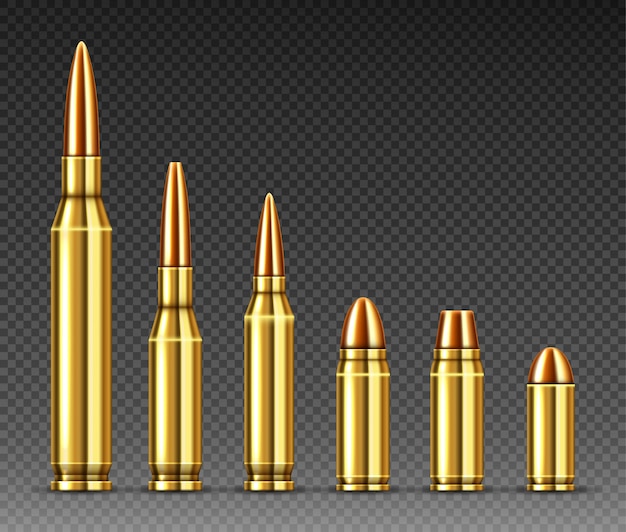 Les Balles De Différents Calibres Se Tiennent En Ligne, Munitions Vecteur Gratuite