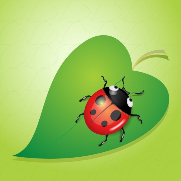 Belle coccinelle dans une feuille Vecteur gratuit