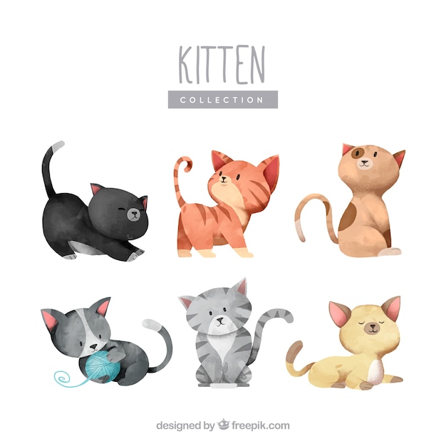 Belle Collection De Chatons D Aquarelle Vecteur Premium