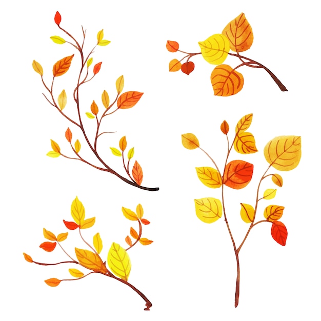 Belle Collection De Feuilles D Automne Aquarelle Vecteur Gratuite