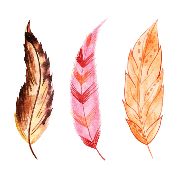 Belle collection plume aquarelle Vecteur Premium