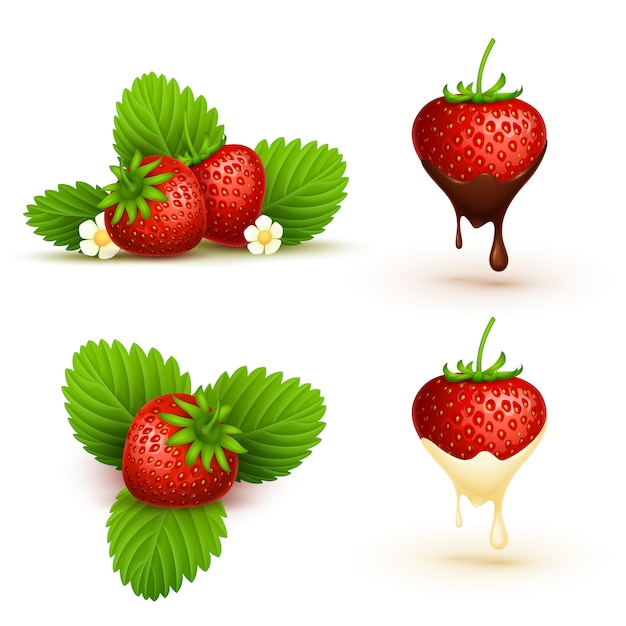 Bouchent Les Fraises Mures Rouges Avec Illustration De Feuilles Fruits Rouges Fruits Rouges Vecteur Premium