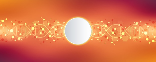 Brin d'adn et structure moléculaire. génie génétique ou recherche en laboratoire. Vecteur Premium
