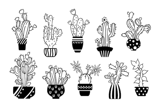 Cactus Dessine A La Main Noir Et Blanc Et Ensemble De Clipart Succulentes Vecteur Premium